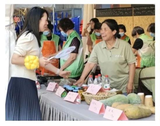 聚焦重大戰略，服務中心大局 嘉定社會組織以專業咨詢助力經濟社會高質量發展